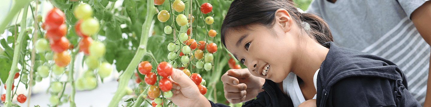 学べるアクティビティ