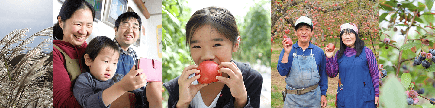 これまでの取り組み