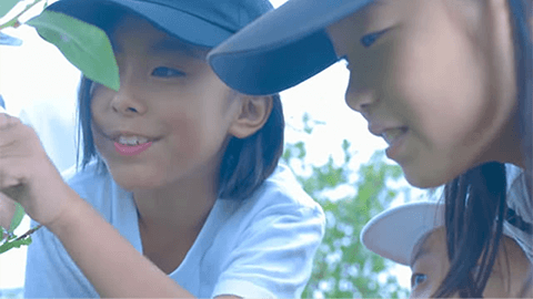 子供たちを成長させる場所《夏》