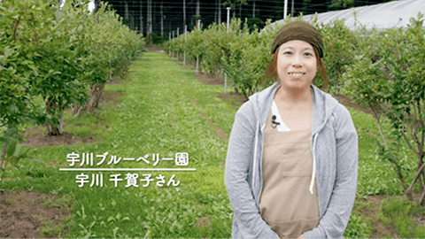 旅育（タビイク）ブルーベリー収穫体験編