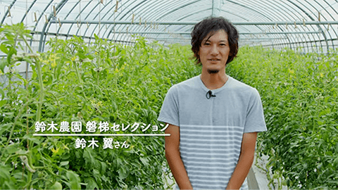 旅育（タビイク）トマト収穫体験編